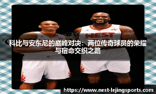 乐竞体育首页